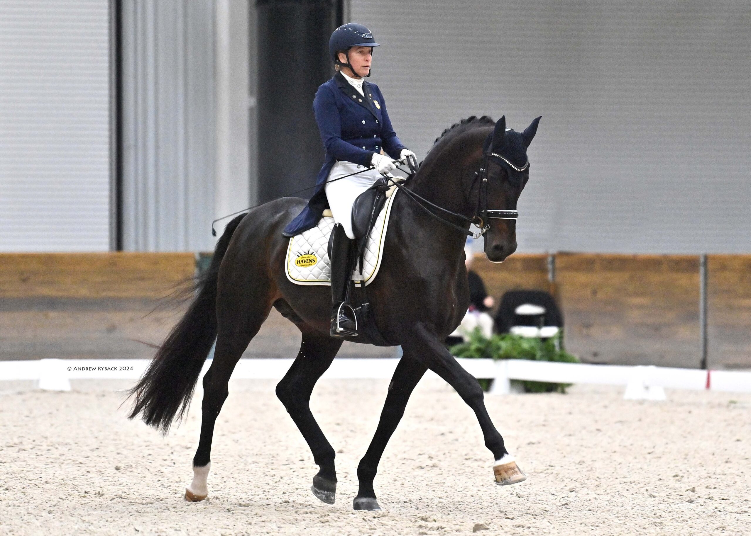 Triple Triumph for Jennifer Hoffmann at World Equestrian Center