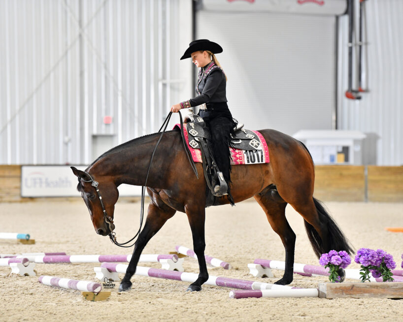 Person riding a horse at an indoor equestrian competition.