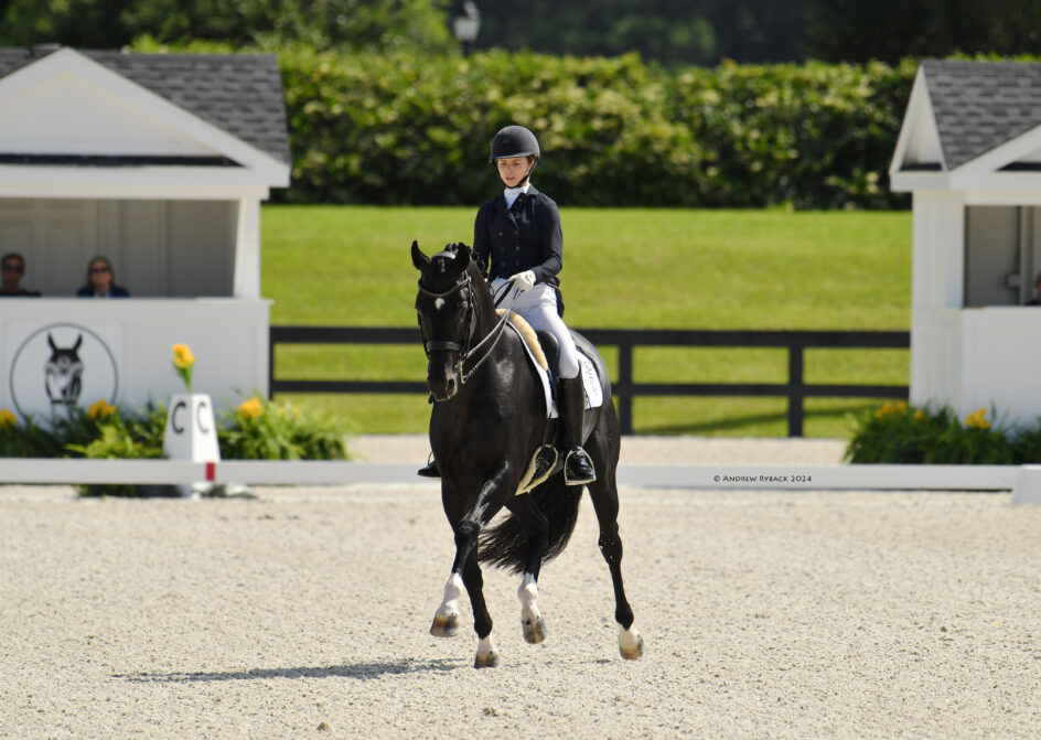 Dressage horse show at Wolrd Equestrian Center Ocala's outdoor arena.