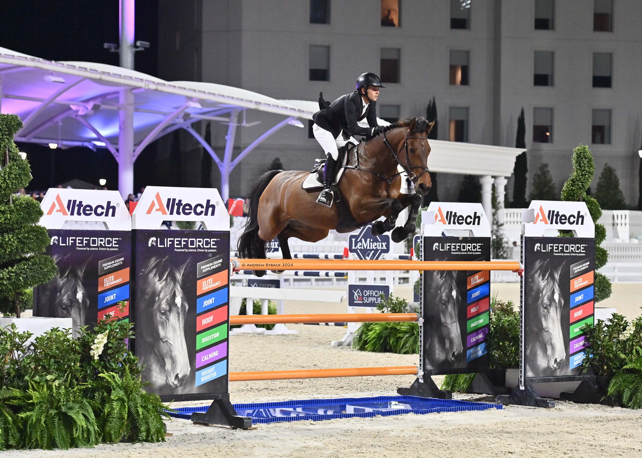 This image has an empty alt attribute; its file name is W7N_0868e-1024x731.jpg