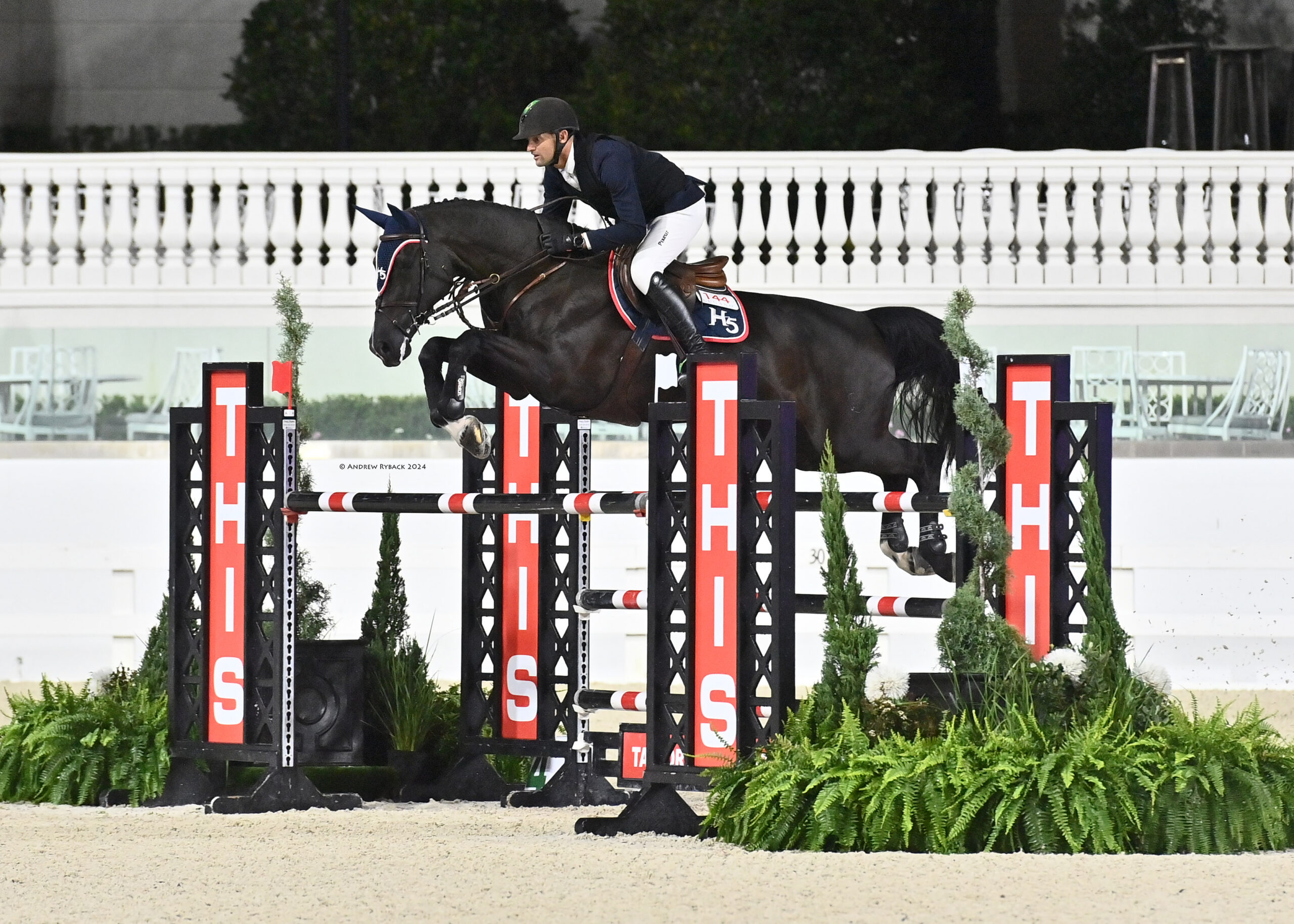 This image has an empty alt attribute; its file name is W7N_1047e-1024x731.jpg