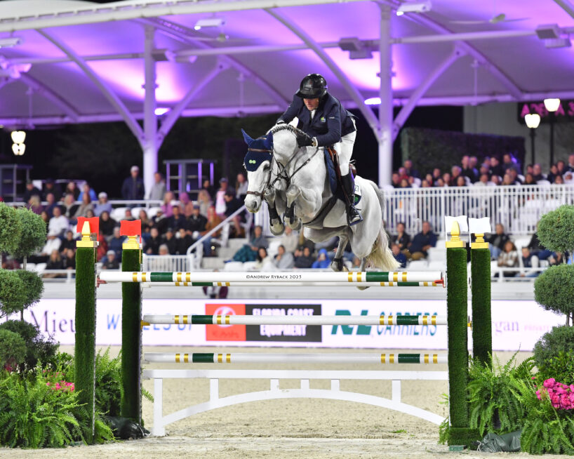 Horse leaping over rails in a full stadium during a Jumper event.