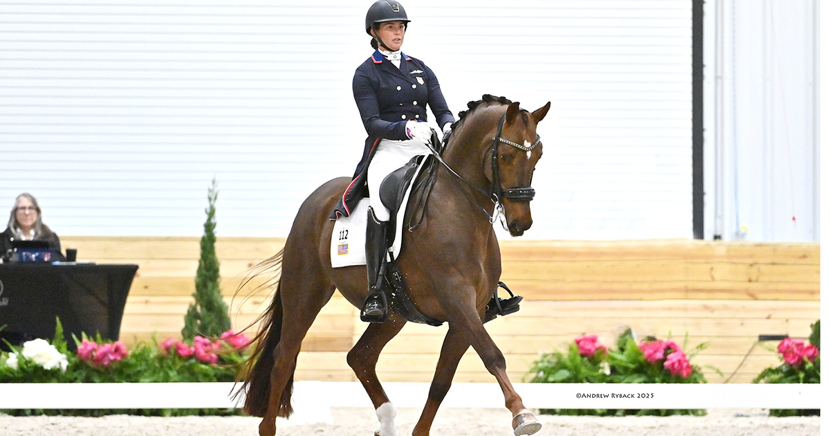 Fouet De Dressage EquiStar Equi-Star Neuf