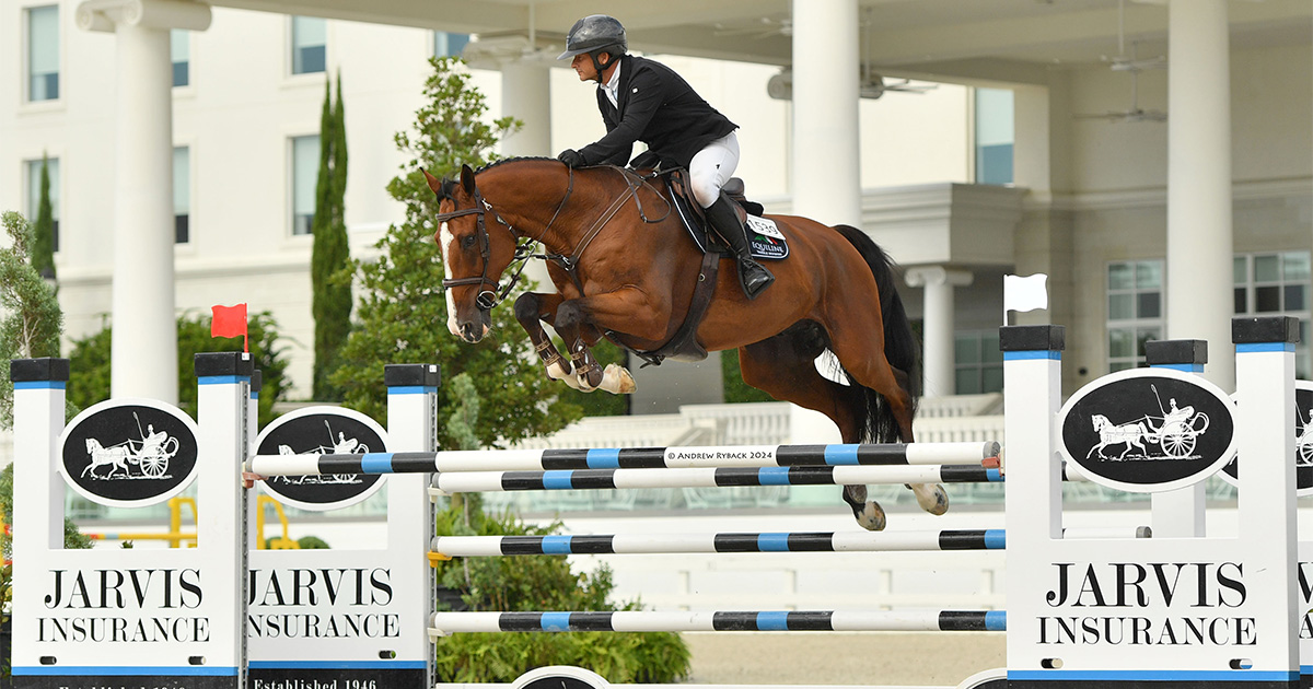 Alberto Michan and Joint De Canabis Van De Doornhoeve Top the
