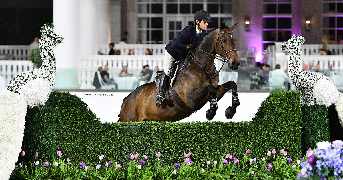 ボビータカシマ　 午年　イヤープレート　Year of the Horse 人気洋食器ブランド 2026年イヤープレート・アイテムコレクション