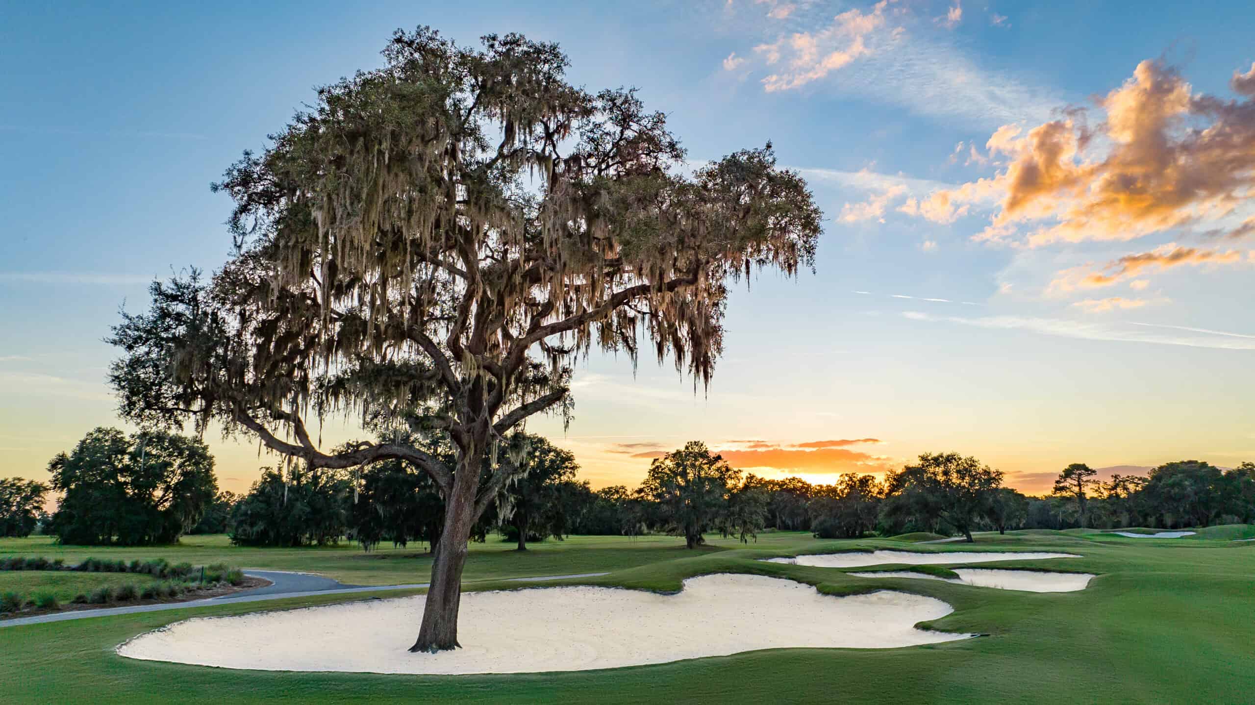 Things to do in Ocala, Florida | World Equestrian Center