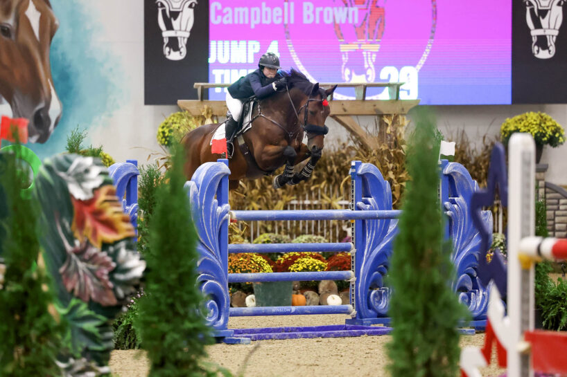 An equestrian and horse jumping
