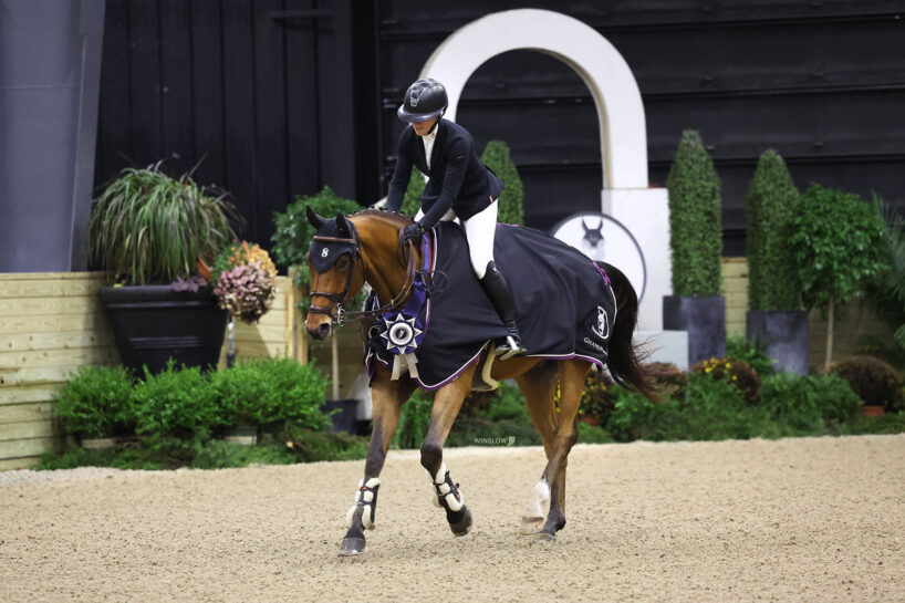 An equestrian rides a horse with a blue ribbon