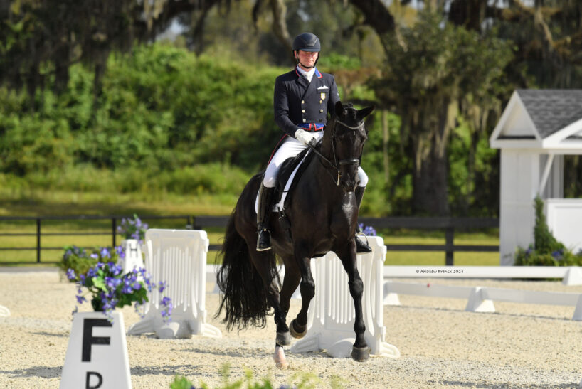 Dressage event on a sunny day