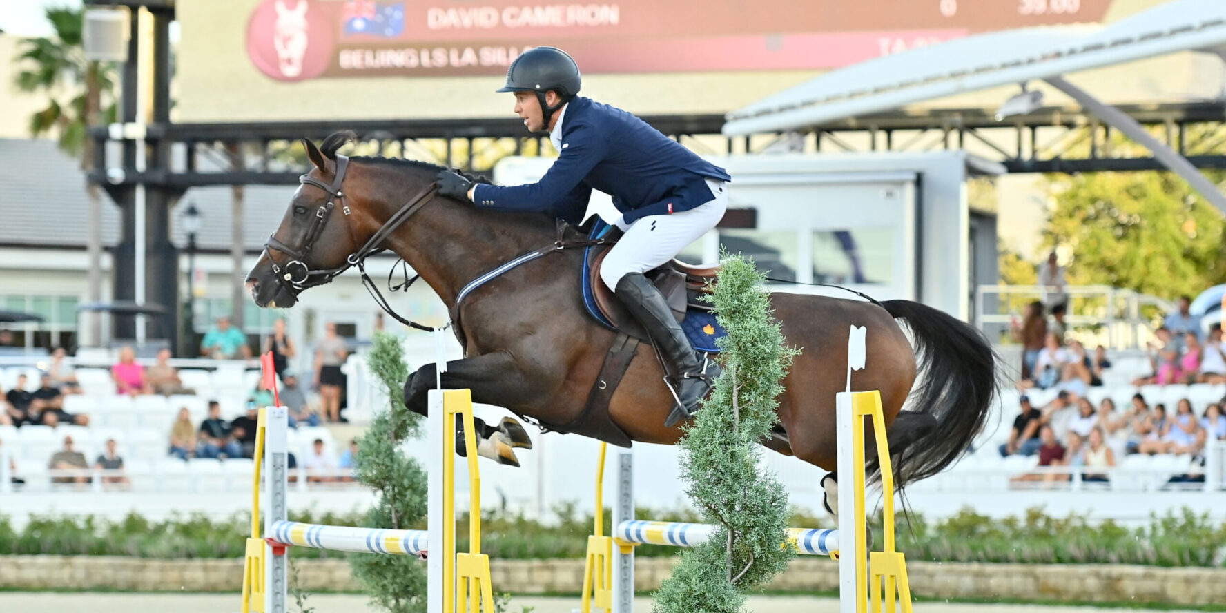 Lauren Balcomb and Verdini D’houtveld Z Prove Unbeatable in $65,000 GGT ...