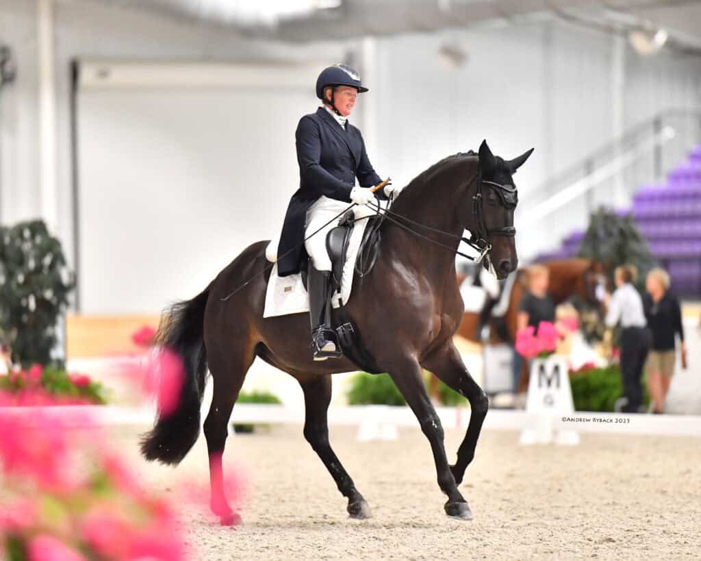 WEC August Dressage presented by Hampton Green Farms | USEF/USDF