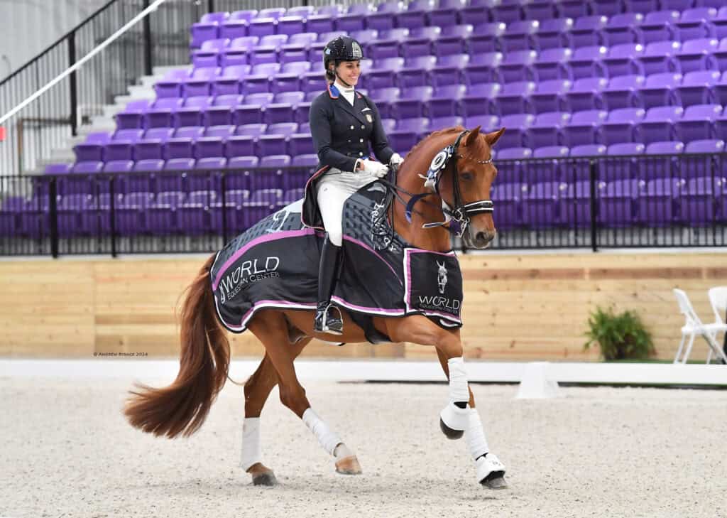 WEC November Dressage presented by Hampton Green Farms | USEF/USDF