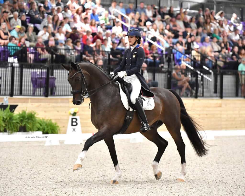 WEC December Dressage CDI presented by Hampton Green Farms |  CDI-W/USEF/USDF