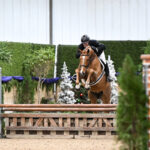 A horse and rider jump over a wooden obstacle in an indoor equestrian arena decorated with greenery and artificial trees.
