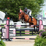 Equestrian rider in black helmet and gray jacket jumps a brown horse over a pink and black obstacle at an outdoor event.