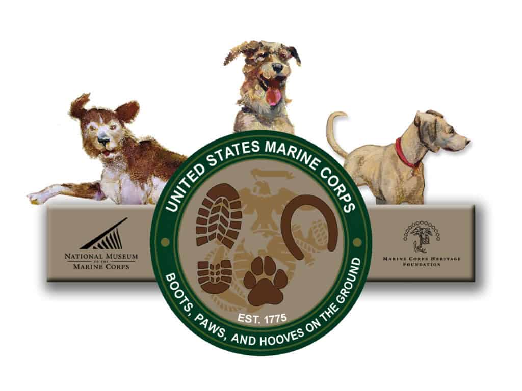 Boots, Paws, and Hooves on the Ground Banner