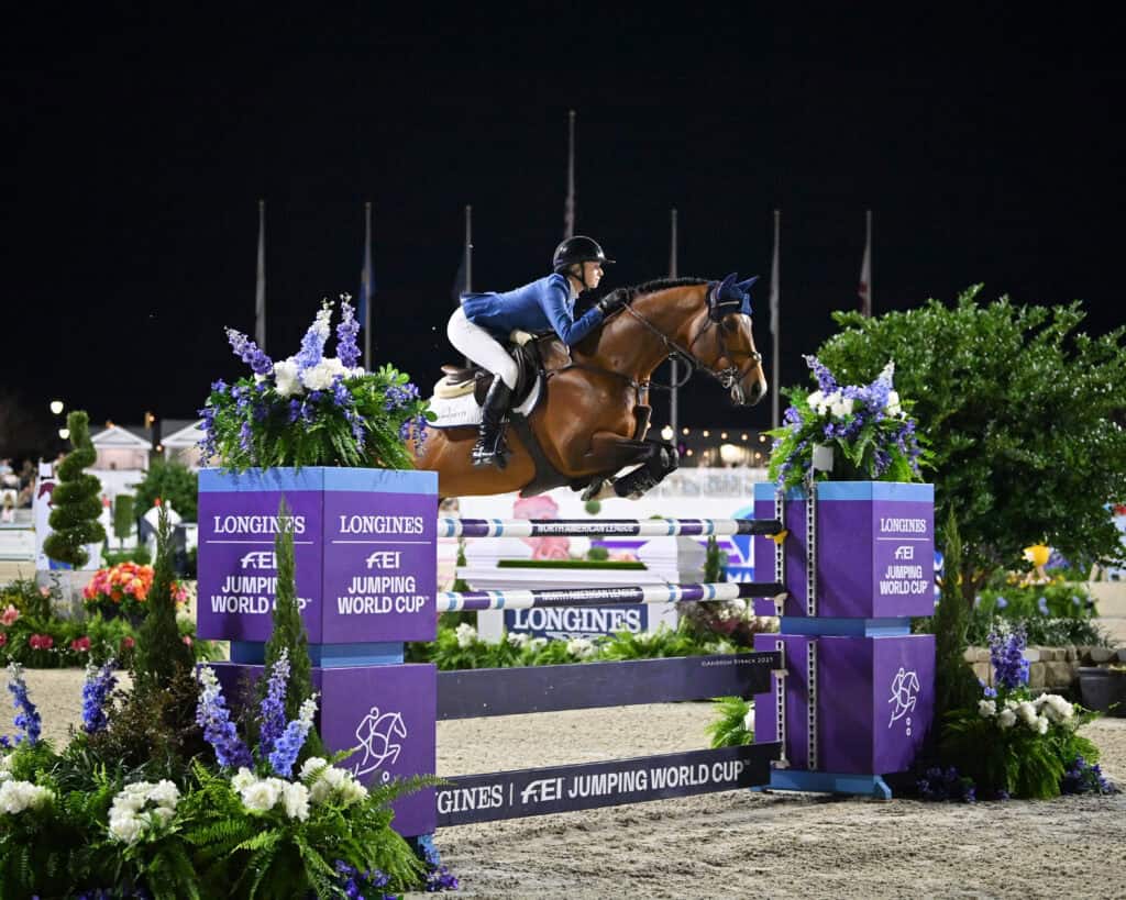 A rider in blue jacket and helmet jumps a brown horse over an obstacle at the Longines FEI Jumping World Cup competition at night.