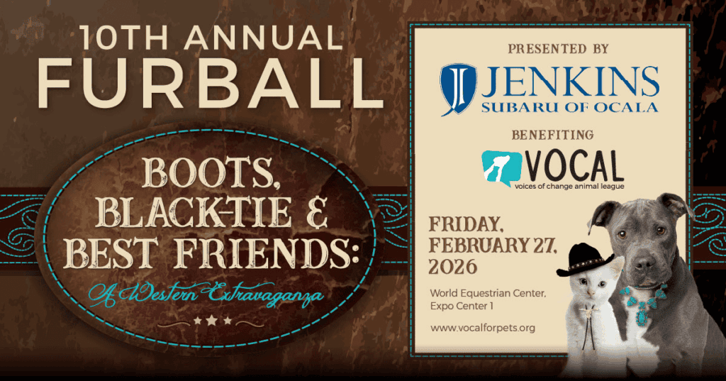 Promotional banner for the 10th Annual Furball on February 27, 2026, featuring dressed-up dogs and event sponsor logos.