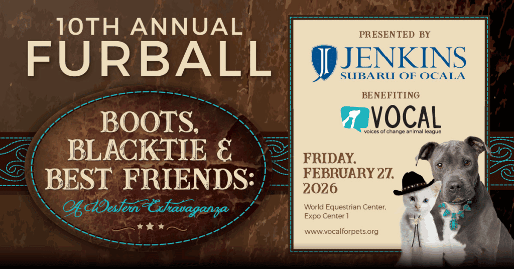 Event poster for the 10th Annual Furball, a Western-themed fundraiser benefiting VOICE animal league, on February 27, 2026, featuring a dog and a cat in themed attire.