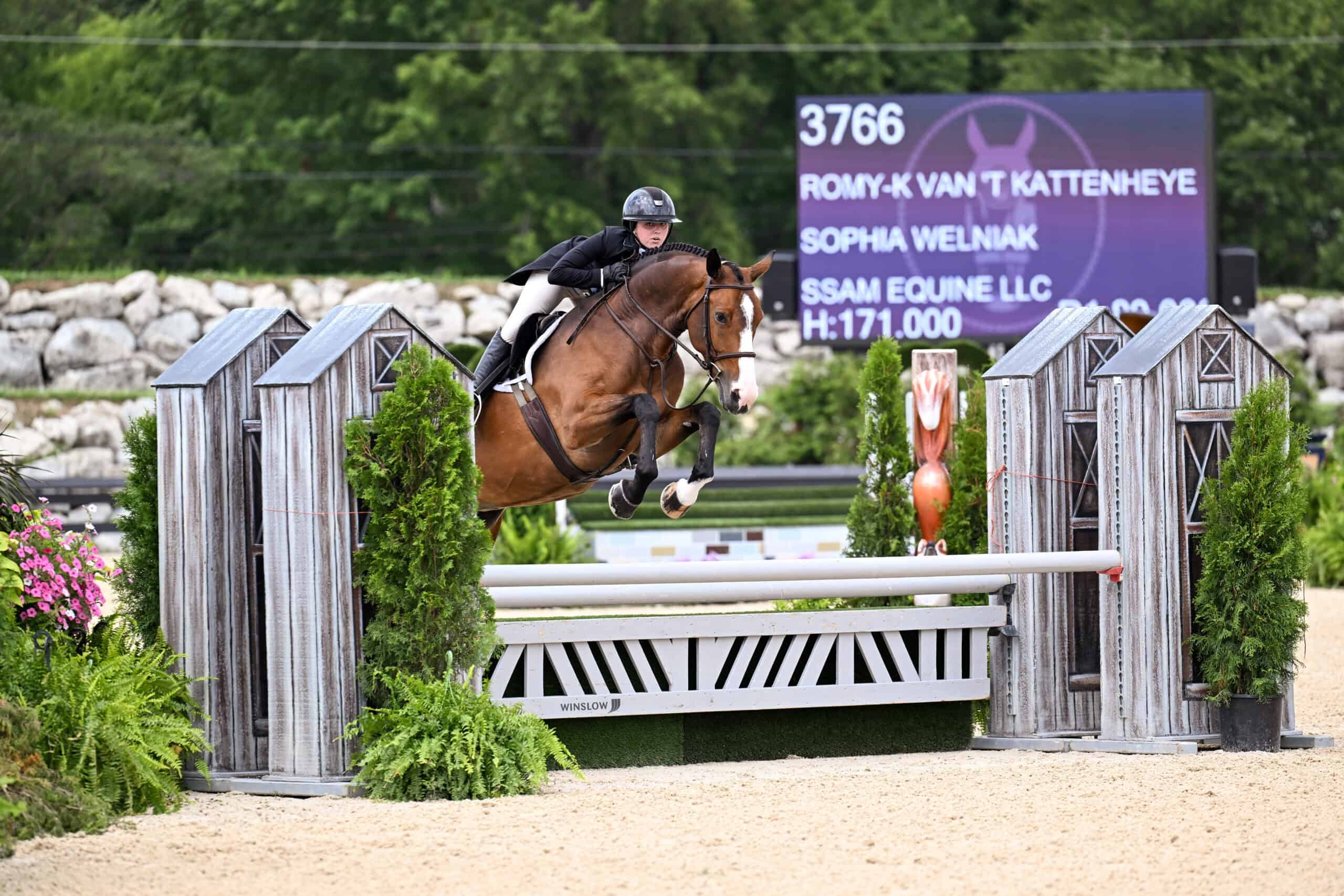 2026 Spring/Summer Series - Summer III | World Equestrian Center