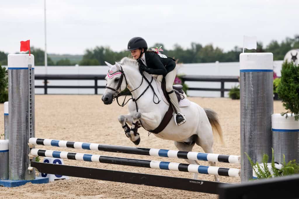 Standlee Schooling Show Series #5