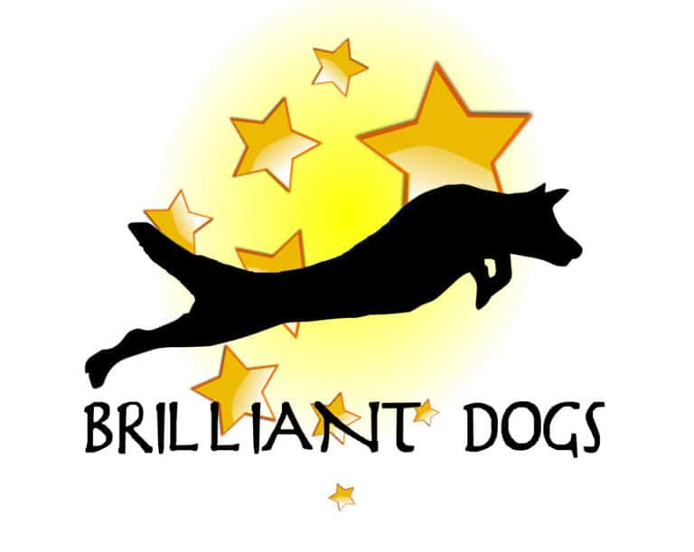 Silhouette of a leaping dog in front of yellow stars with the text 
