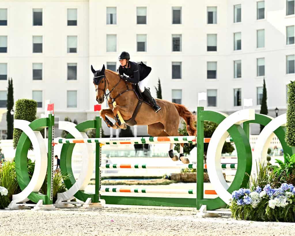 SWAY DESTINY Stadium Jumper ドーベル SWAY DESTINY Stadium Jumper ドーベル