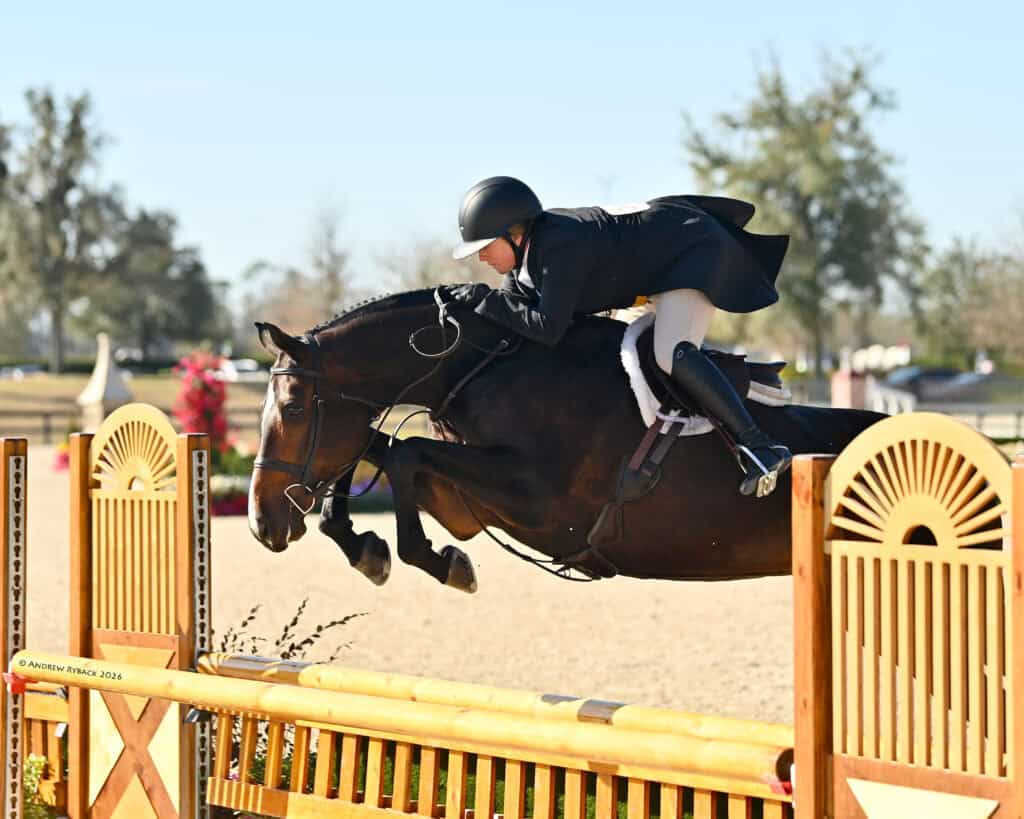 Equestrian rider in a black jacket and helmet guiding a dark horse over a wooden jump during a competition in an outdoor arena.