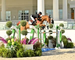 Equestrian rider and horse jump over a green and white obstacle during a show jumping competition, with plants and flowers in the foreground and a building in the background.
