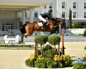 A rider in equestrian gear jumps a brown horse over an obstacle during a show jumping event in an outdoor arena.