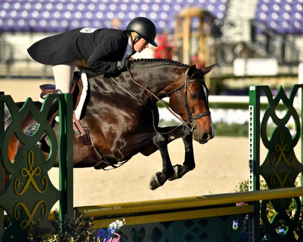 Equestrian rider in a helmet and jacket guides a horse over a green obstacle during a show jumping competition in an outdoor arena.