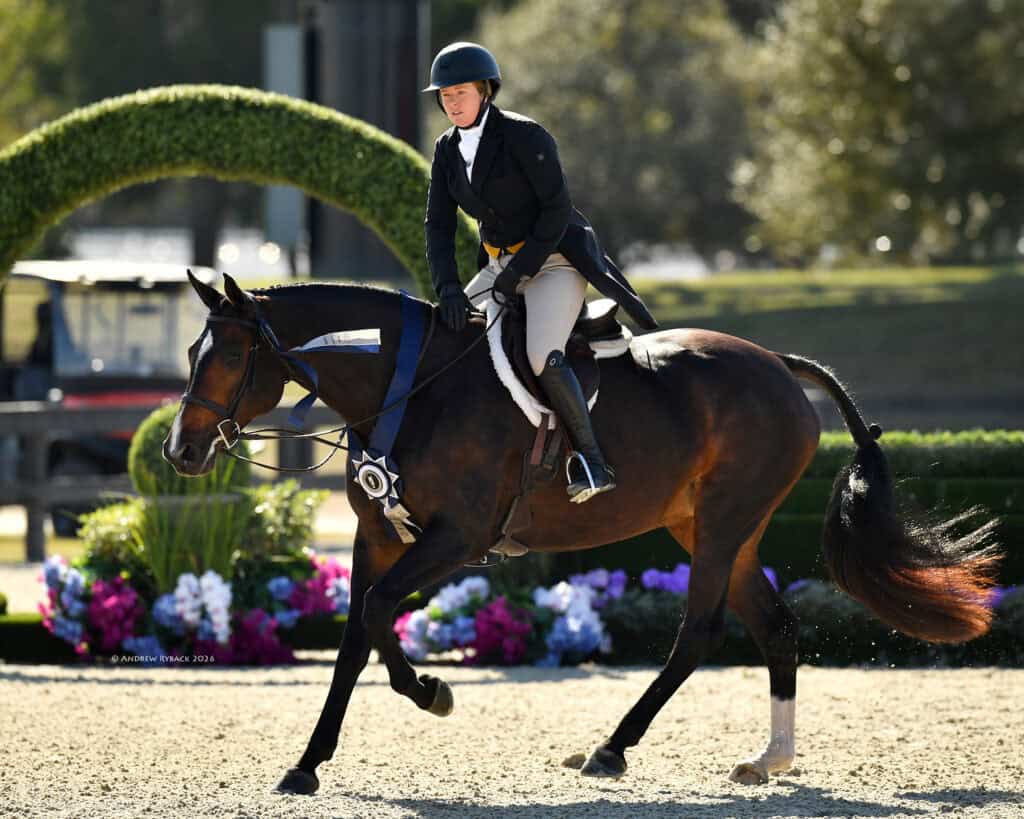 A rider in formal equestrian attire is riding a bay horse with a blue and white ribbon at an outdoor competition arena.