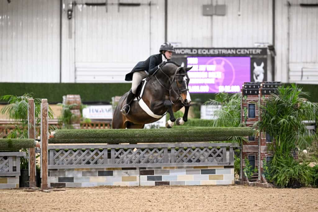 A rider in equestrian attire guides a horse over a jump during an indoor show jumping competition.