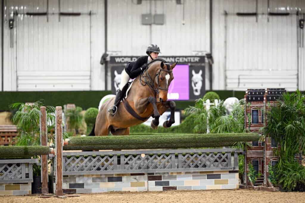 A rider in equestrian attire jumps a brown horse over an obstacle in an indoor arena during a competition.
