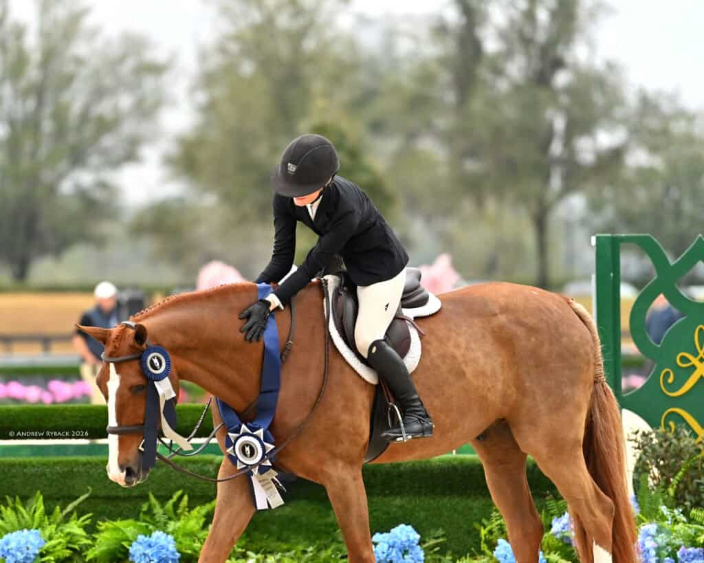 A rider in a black jacket and helmet pats a chestnut horse wearing a blue ribbon on its bridle, standing near a decorative arena with blue flowers.