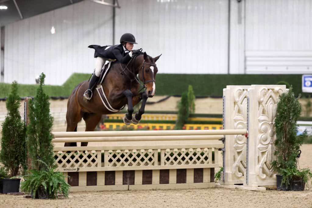 A rider in equestrian attire and helmet guides a horse over a jump in an indoor arena with greenery and decorative barriers.