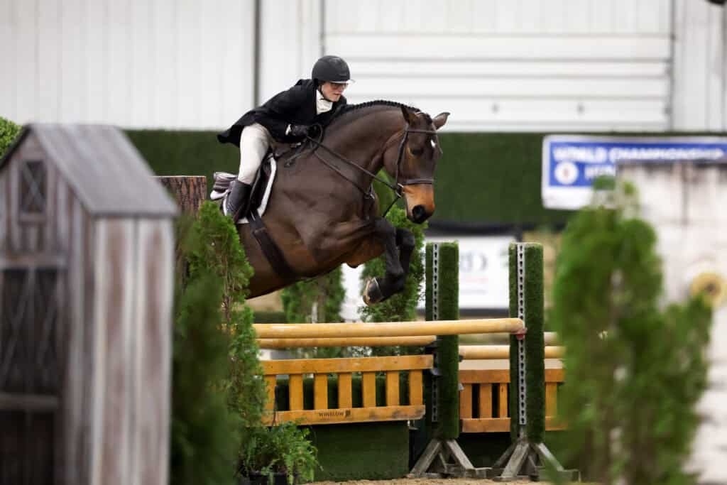 A rider in formal attire guides a brown horse over a wooden jump during an indoor equestrian event.