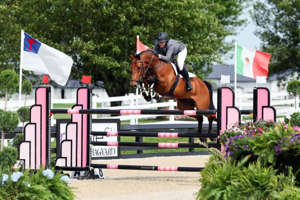 Equestrian rider in helmet and jacket guides a brown horse over a pink and black jump during a show jumping competition. Flags and greenery are visible in the background.