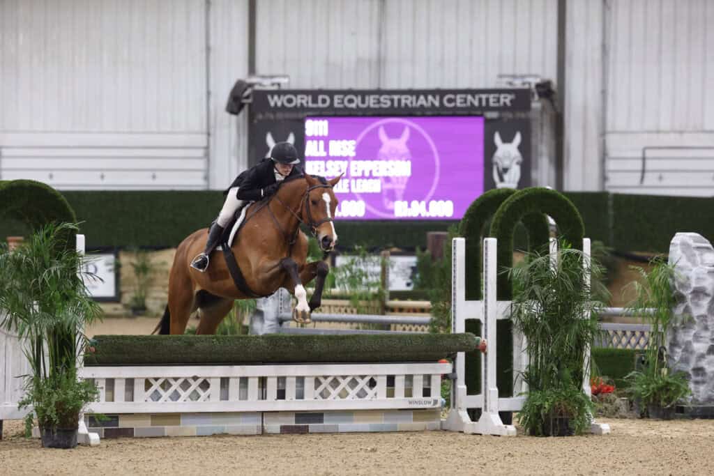 A rider on a brown horse jumps over an obstacle during an indoor equestrian event, with a scoreboard visible in the background.
