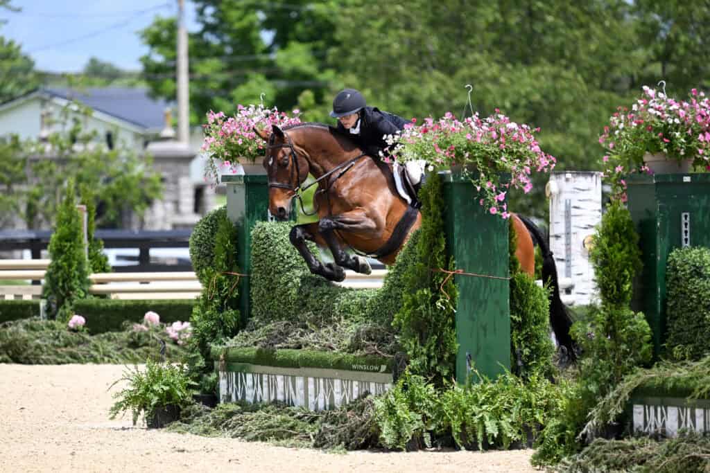 A rider in equestrian attire jumps a brown horse over a green and flower-decorated obstacle during a show jumping competition.