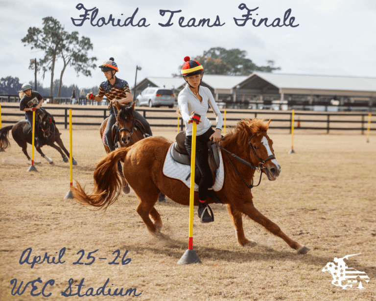 Four riders on ponies compete in a mounted games event, weaving through poles on a grassy field with barns in the background. Text reads 