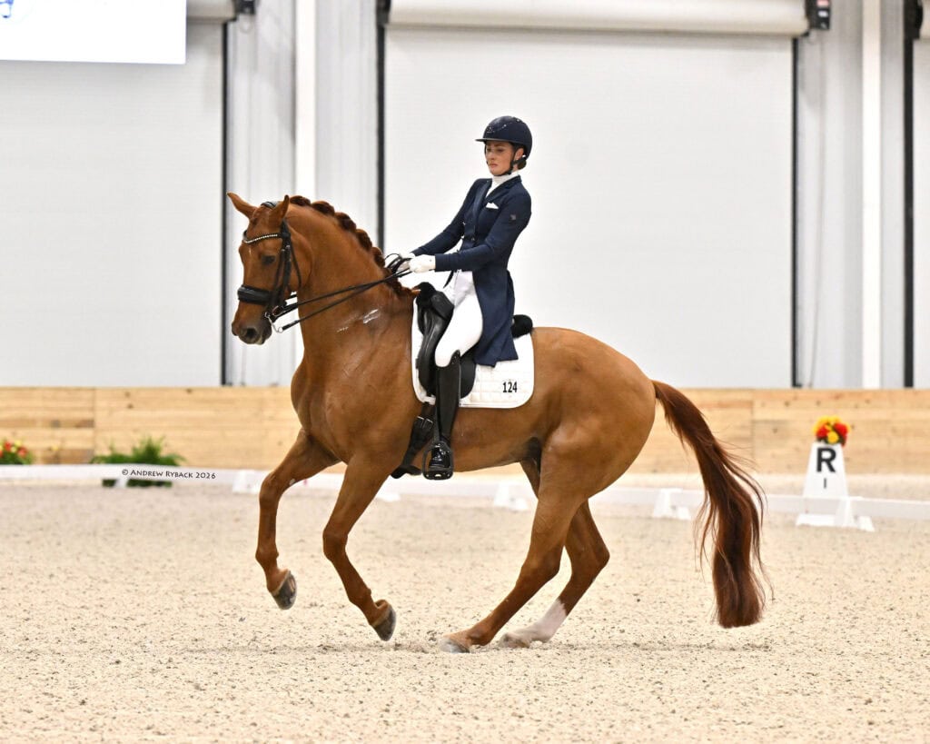 A rider in formal dressage attire performs a canter on a chestnut horse inside an indoor arena.