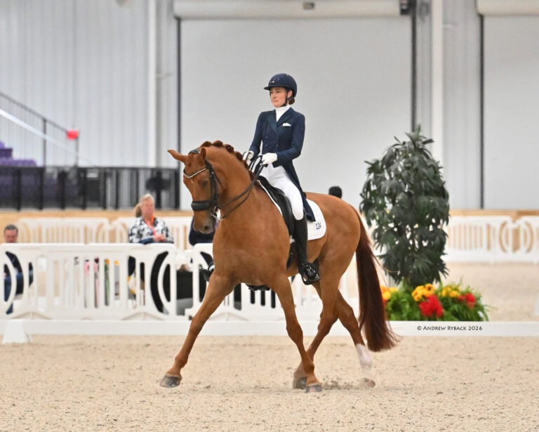 A rider in formal equestrian attire guides a chestnut horse through a dressage arena with judges seated in the background.