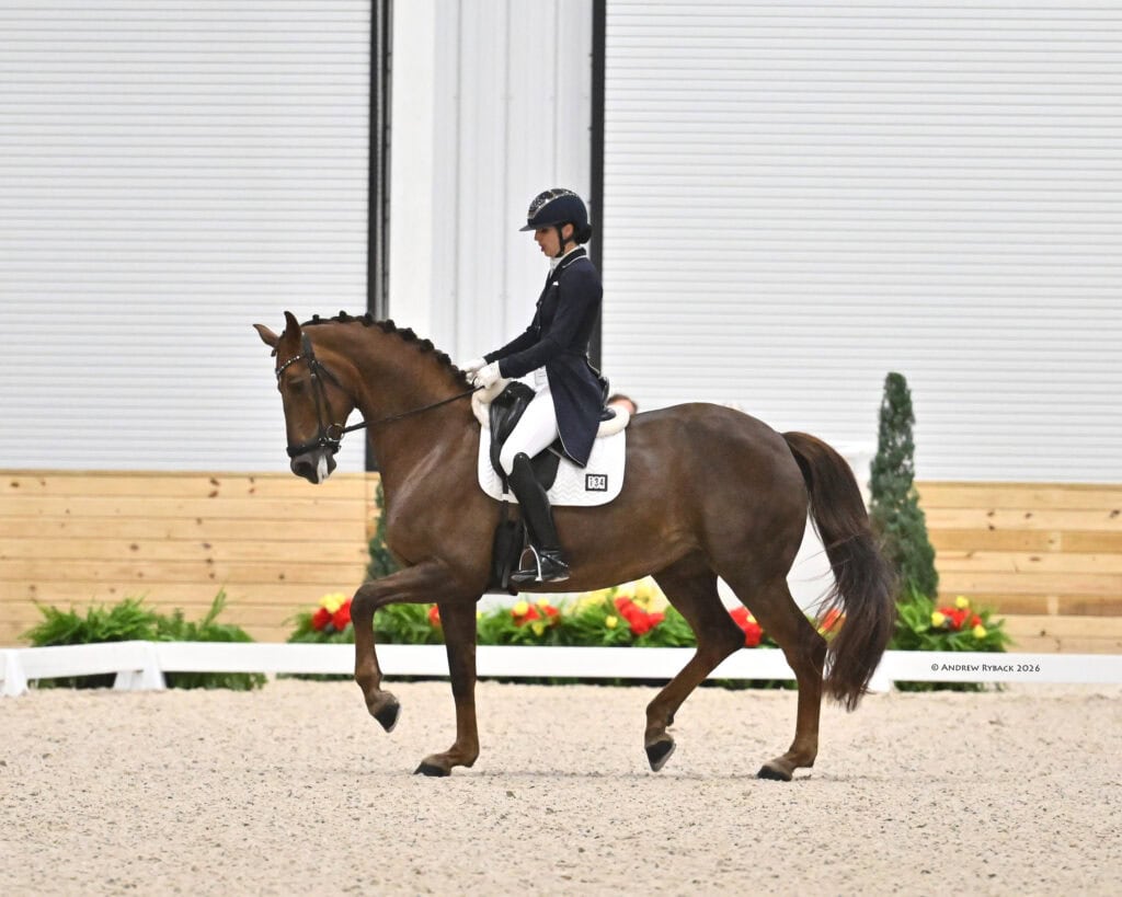 Equestrian rider in formal attire performing dressage on a brown horse in an indoor arena with sand footing and a wooden barrier.