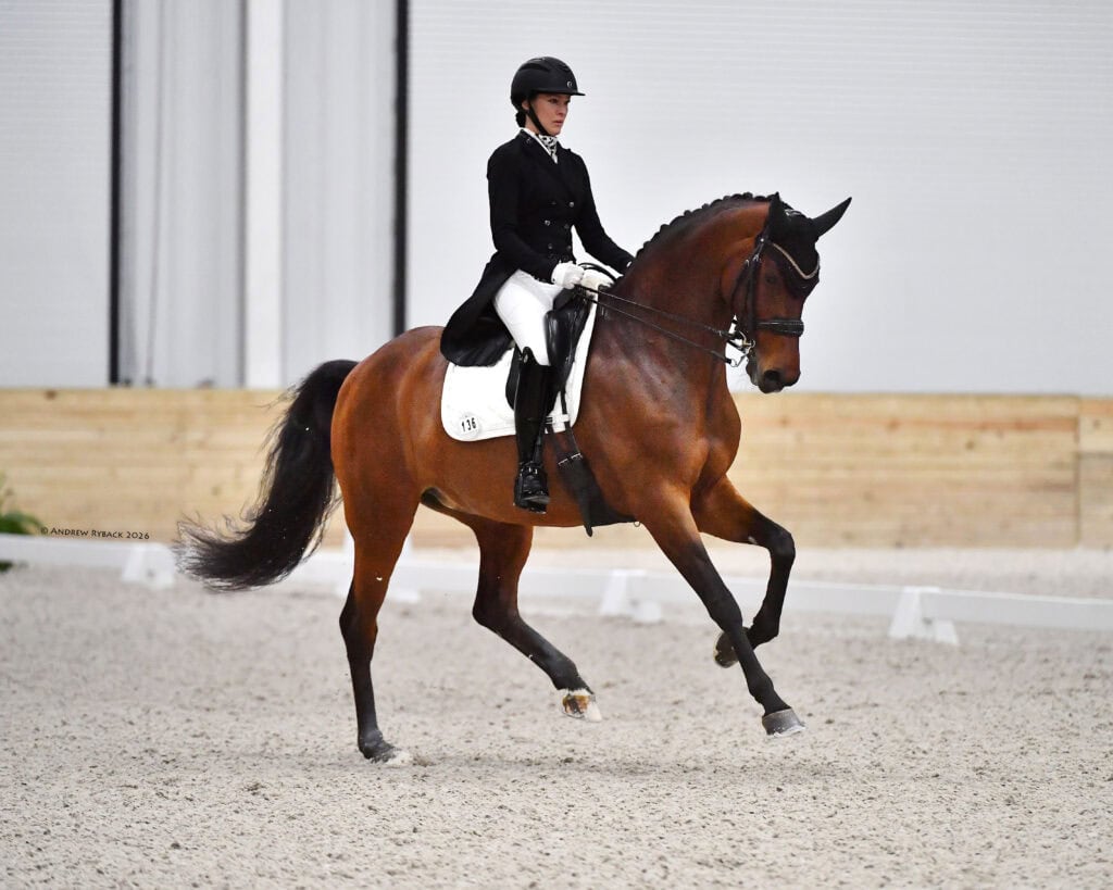 A rider in formal equestrian attire guides a brown horse performing dressage in an indoor arena with a sand surface.