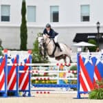 A rider in equestrian gear jumps a gray horse over a red, white, and blue star-decorated obstacle in a show jumping competition.