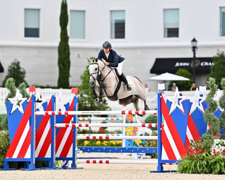 A rider in equestrian gear jumps a gray horse over a red, white, and blue star-decorated obstacle in a show jumping competition.