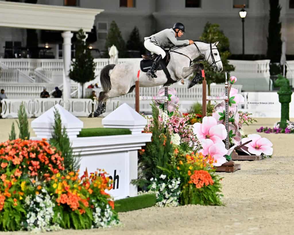 A rider in equestrian gear jumps a gray horse over an obstacle surrounded by flowers during a show jumping competition.