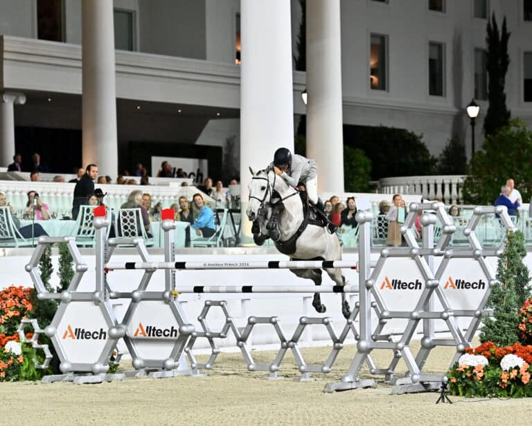 A rider on a white horse jumps over a barrier marked "Alltech" at an equestrian event, with spectators and a white building in the background.