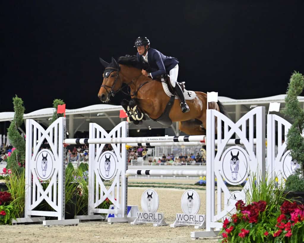 A rider in a navy jacket and helmet jumps a brown horse over an obstacle during a nighttime equestrian competition.